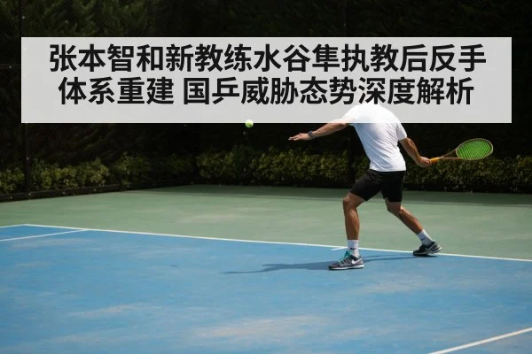 张本智和新教练水谷隼执教后反手体系重建 国乒威胁态势深度解析