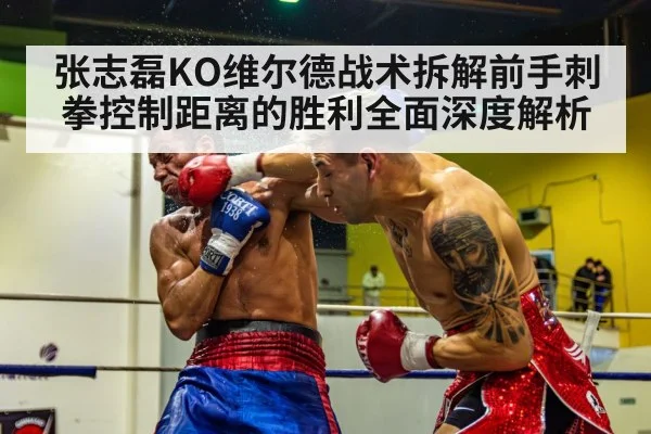 张志磊KO维尔德战术拆解前手刺拳控制距离的胜利全面深度解析